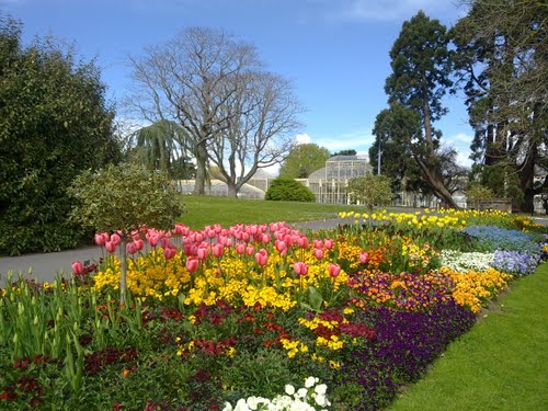National Botanic Gardens, Ireland