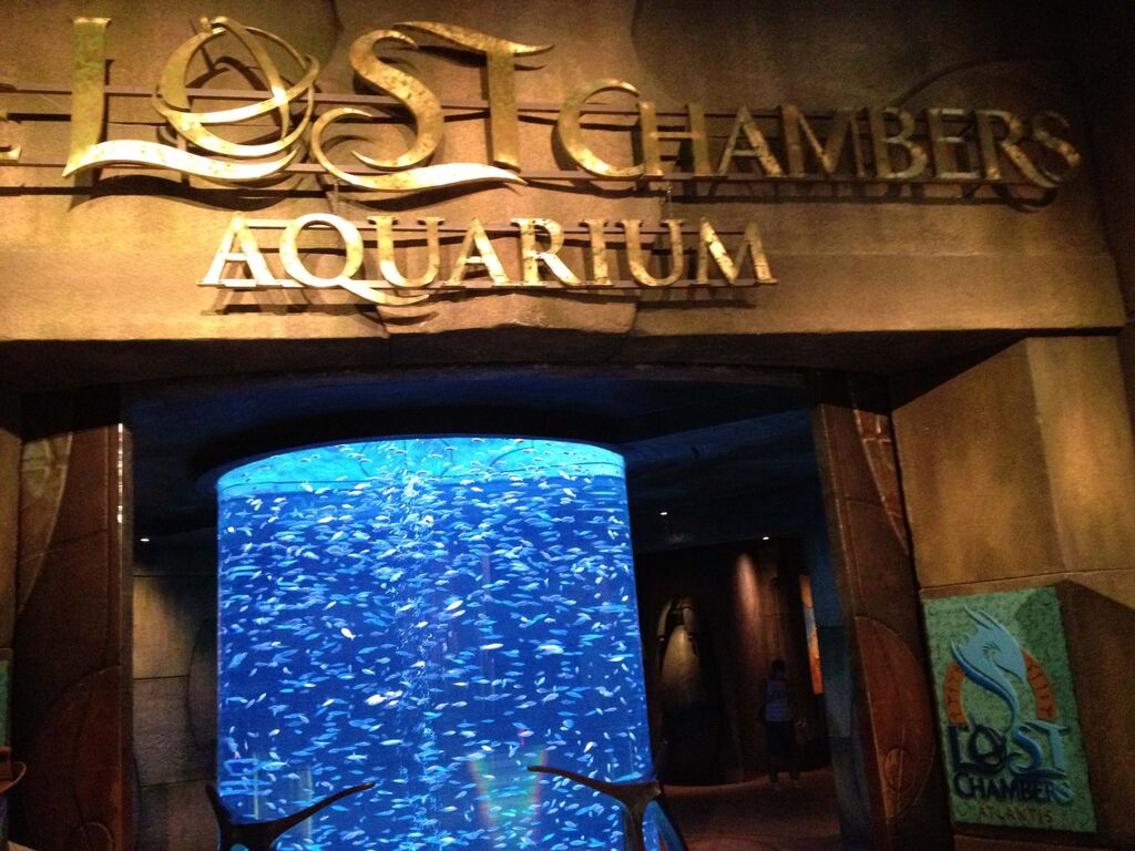 The Lost Chambers Aquarium Dubai